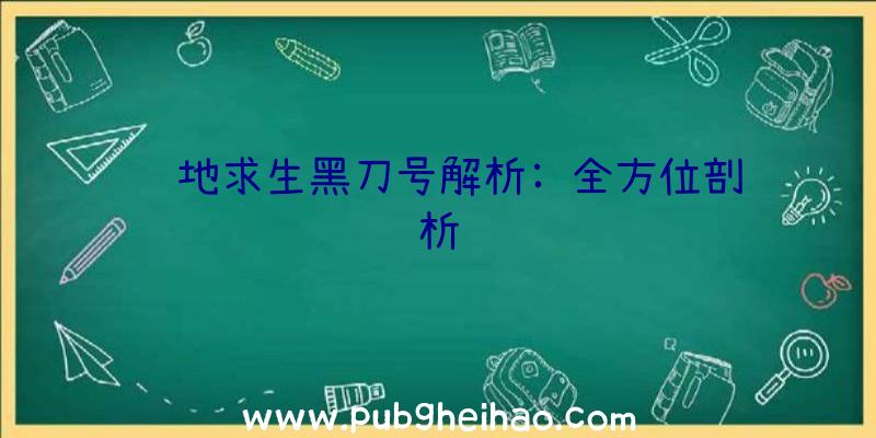 绝地求生黑刀号解析: